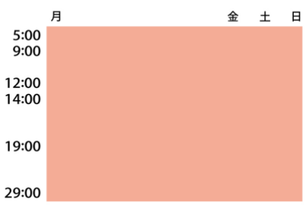 全日型 月~日曜日の朝から深夜まで。主婦、高齢者など、全時間帯全曜日を見る層。