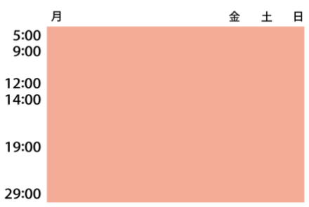 全日型　月～日曜日の朝から深夜まで。主婦、高齢者など、全時間帯全曜日を見る層。